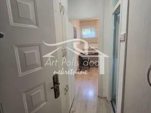 Izdavanje, stan, 20m², Julino Brdo, Beograd - image 3