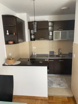 Izdavanje, jednosoban stan, 52m², Preko Morače, Podgorica - image 3