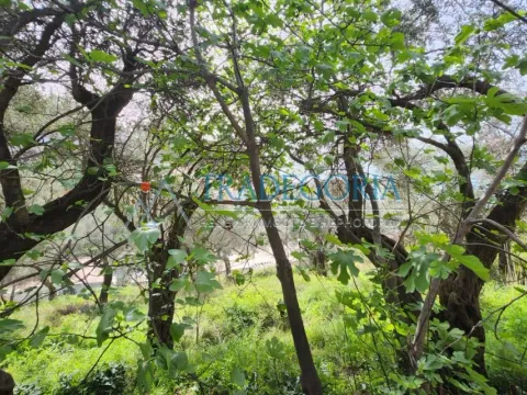 Prodaja, kuća, 205m², Ulcinj, Crna Gora - image 10