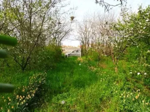 Prodaja, kuća, 200m², Borča Sve Podlokacije, Beograd - image 2