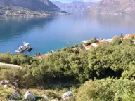 Sale, land lot, 30m², Dobrota, Kotor - image 5