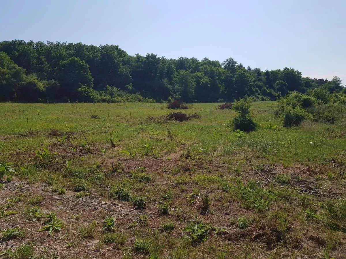Prodaja, plac, 30000m², Boleč, Grocka