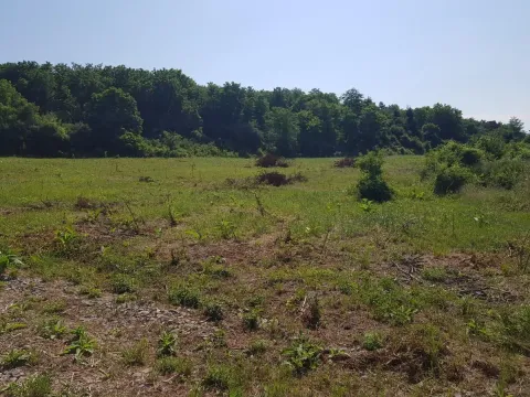 Sale, land lot, 300m², Boleč, Grocka - image 4