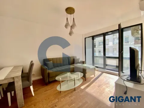 Prodaja, dvosoban stan, 46m², Višnjička Banja, Palilula Sve Podlokacije