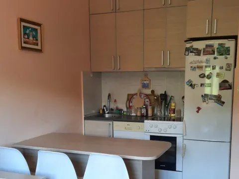 Izdavanje, jednosoban stan, 40m², Ljubović, Podgorica - image 6