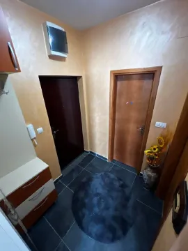 Izdavanje, jednosoban stan, 33m², Zabjelo, Podgorica - image 7