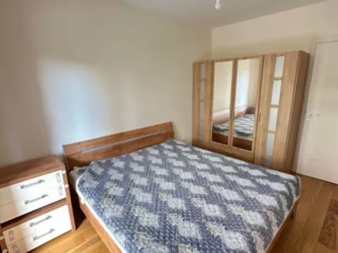 Izdavanje, jednosoban stan, 50m², Central Point, Podgorica - image 3