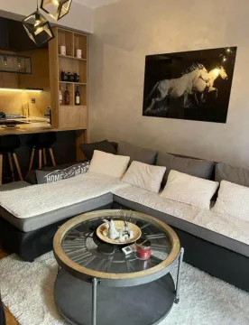 Rent, one bedroom apartment, 45m², Zabjelo, Podgorica - image 2