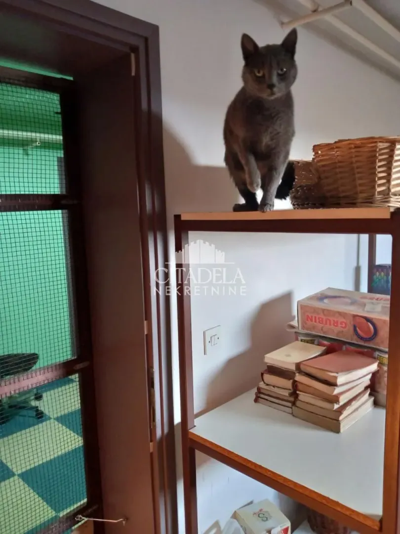 Sale, house, 399m², Arnajevo, Barajevo
