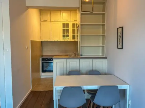 Rent, one bedroom apartment, 48m², Vezirov Most, Podgorica - image 8