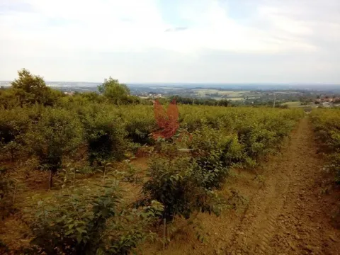 Zemljište in Koraćica