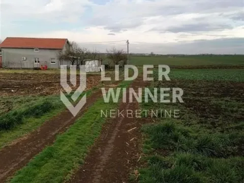 Prodaja, plac, 9765m², Surčin, Beograd - image 5