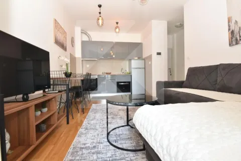 Rent, one bedroom apartment, 40m², Zabjelo, Podgorica - image 2