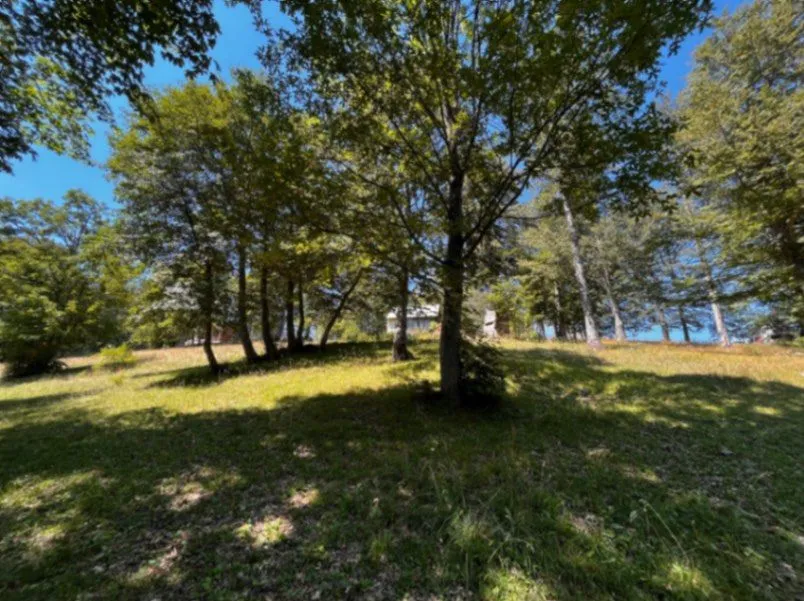 Prodaja, plac, 12000m², Žabljak, Crna Gora