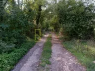 Prodaja, plac, 3000m², Grlić, Danilovgrad - image 5