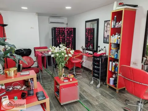 Poslovni prostor in Profesorska Kolonija