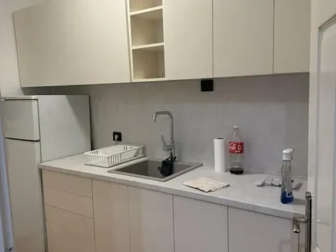 Izdavanje, trosoban stan, 52m², Grbavica, Novi Sad Sve Podlokacije - image 4