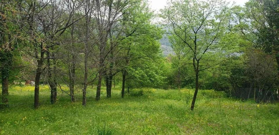Prodaja, plac, 749m², Petrovac, Budva
