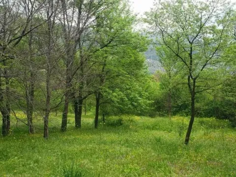 Prodaja, plac, 749m², Petrovac, Budva - image 2