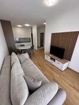 Rent, one bedroom apartment, 44m², Rozino, Budva - image 2