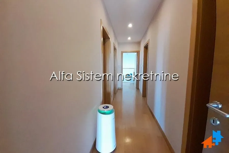 Izdavanje, stan, 200m², Novi Beograd Sve Podlokacije, Beograd