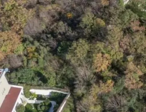 Prodaja, plac, 2400m², Tudorovići, Budva - image 4