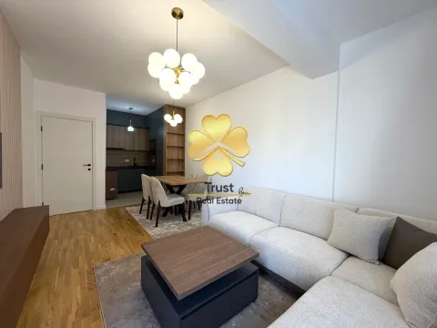 Izdavanje, jednosoban stan, 44m², Stari Aerodrom, Podgorica - image 5