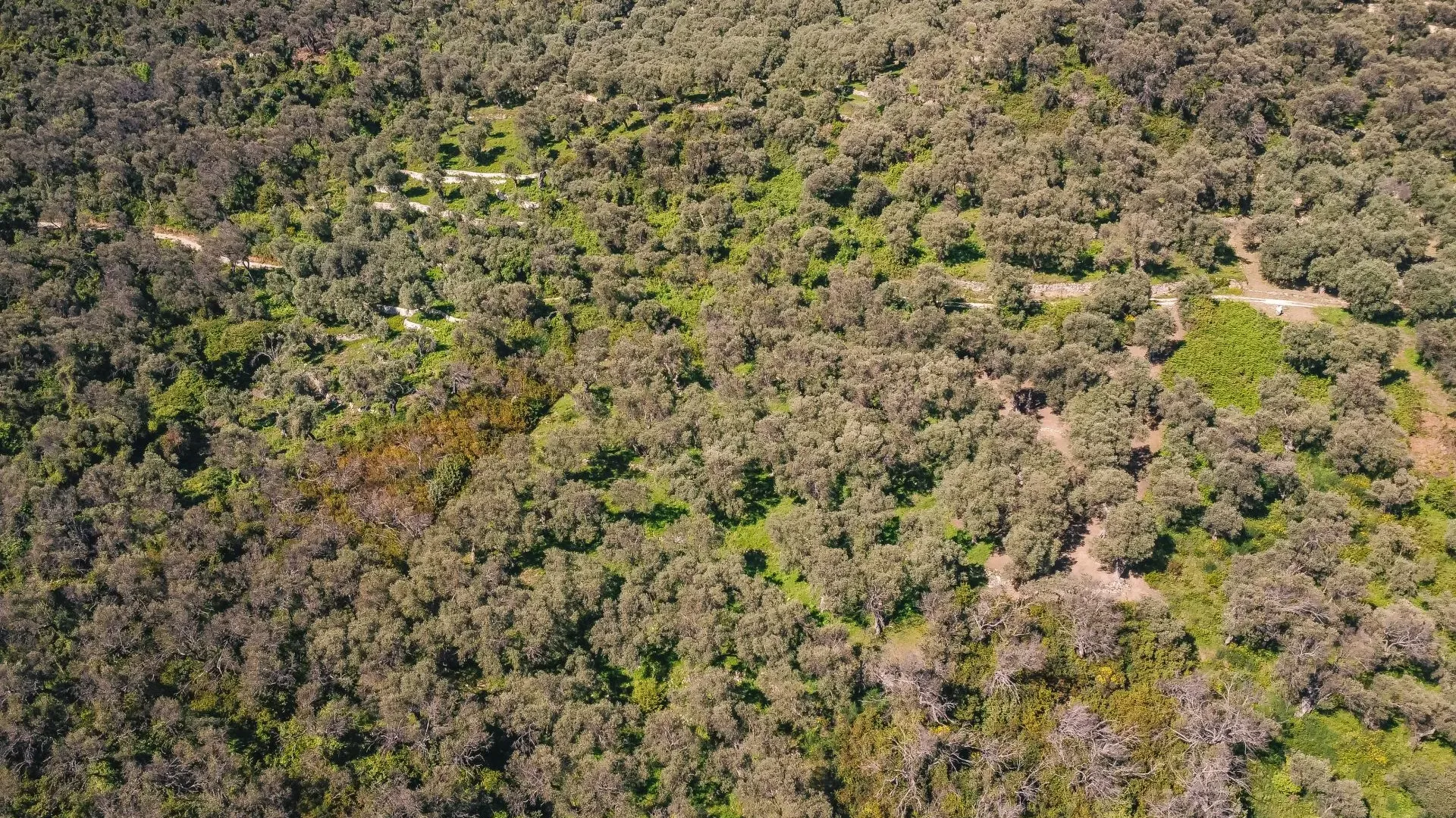 Prodaja, plac, 3030m², Ulcinj, Crna Gora