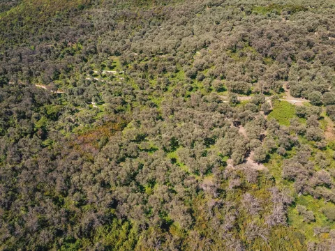 Prodaja, plac, 3030m², Ulcinj, Crna Gora - image 9