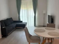 Izdavanje, garsonjera, 33m², Bečići, Budva - image 8