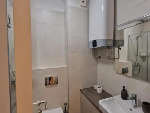 Izdavanje, trosoban stan, 60m², Južni Bulevar, Vračar Sve Podlokacije - image 4