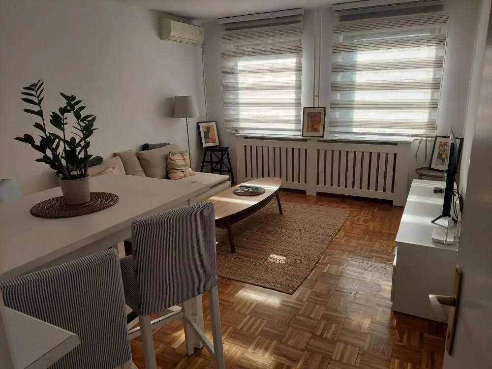 Izdavanje, jednosoban stan, 45m², Savski Venac, Beograd