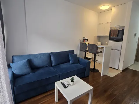 Izdavanje, garsonjera, 27m², Master Kvart, Podgorica - image 11