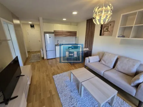 Izdavanje, jednosoban stan, 45m², Centar, Jagodina - image 1