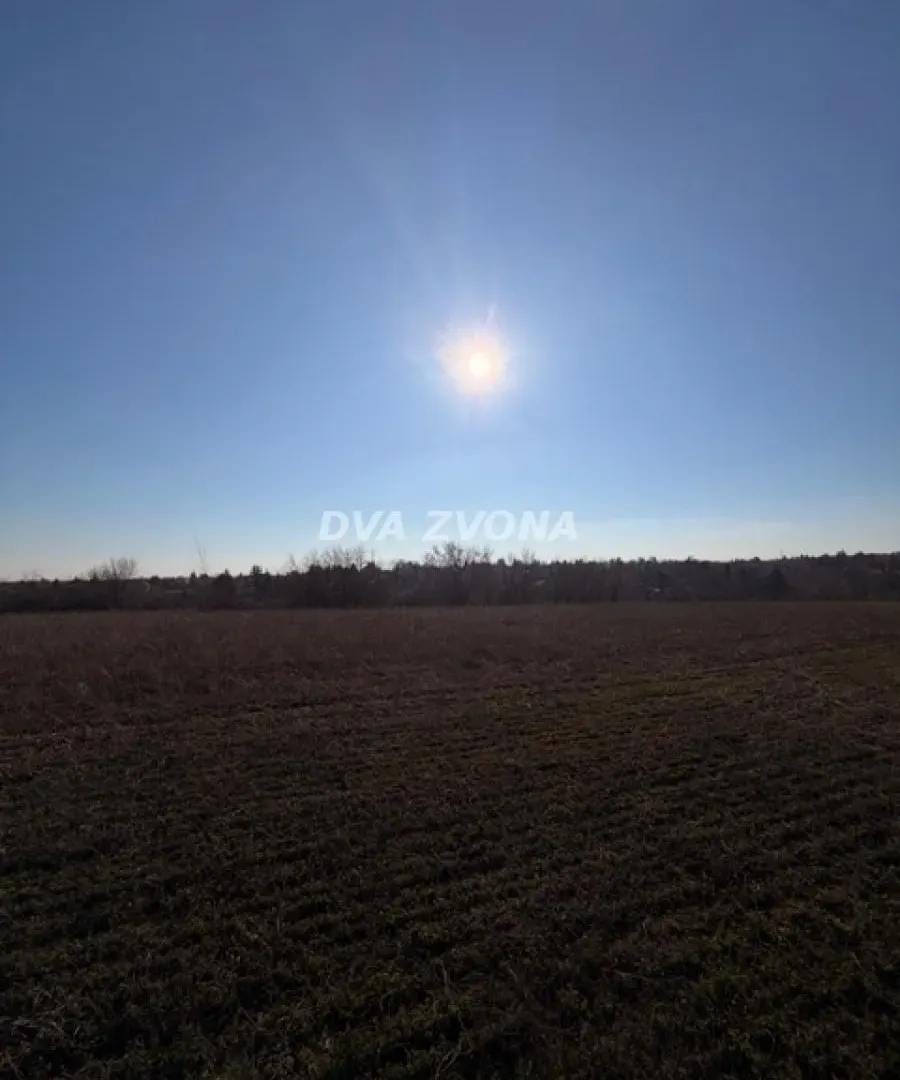 Prodaja, plac, 1000m², Čortanovci, Inđija