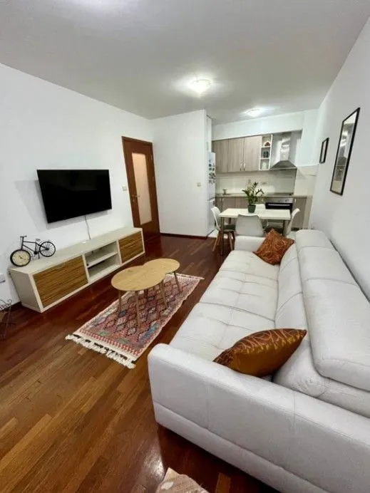 Izdavanje, jednosoban stan, 47m², Stari Aerodrom, Podgorica