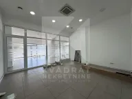 Izdavanje, poslovni prostor, 362m², Ljubović, Podgorica - image 14