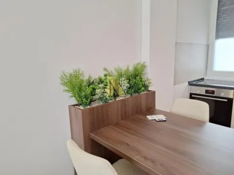 Rent, two bedroom apartment, 50m², Telep, Novi Sad Sve Podlokacije - image 7