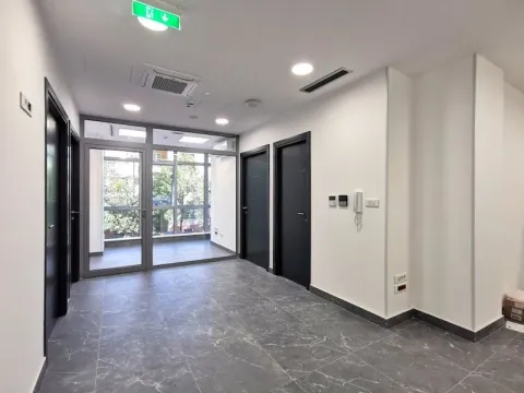 Izdavanje, poslovni prostor, 77m², Centar, Podgorica