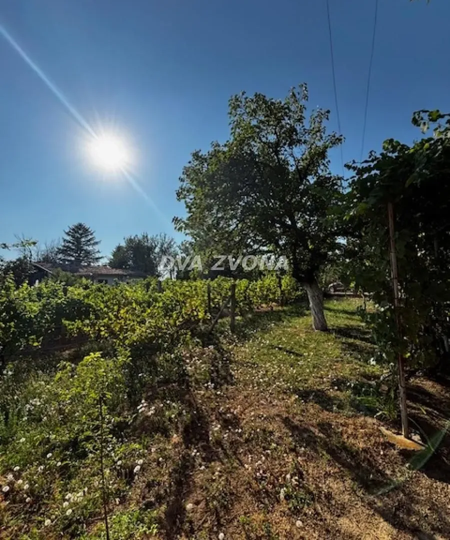 Prodaja, kuća, 18m², Čortanovci, Inđija