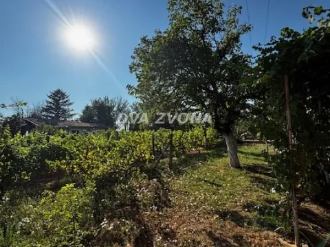 Sale, house, 18m², Čortanovci, Inđija - image 12
