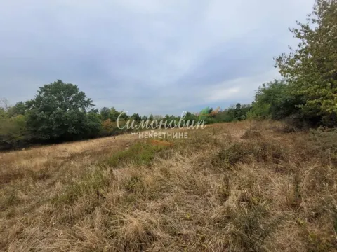 Pogled na prostrano zemljište sa rastinjem i drvećem. - image 2