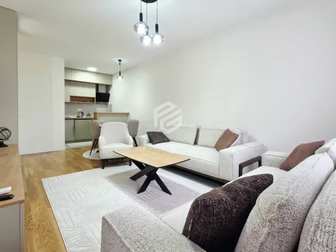 Izdavanje, jednosoban stan, 49m², Central Point, Podgorica - image 4