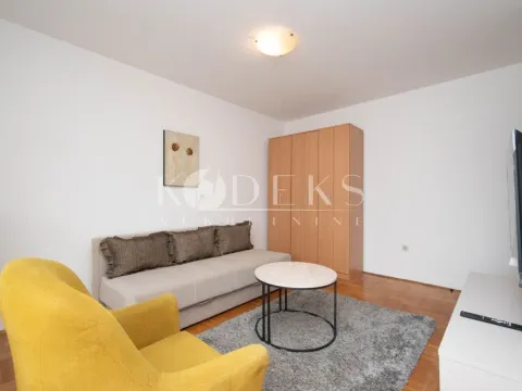 Izdavanje, garsonjera, 27m², Zabjelo, Podgorica - image 4