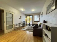 Izdavanje, jednosoban stan, 45m², Preko Morače, Podgorica - image 3