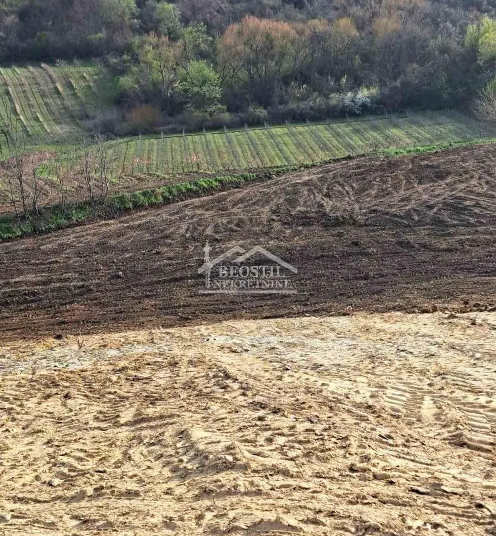Prodaja, plac, 4966m², Brestovik, Grocka