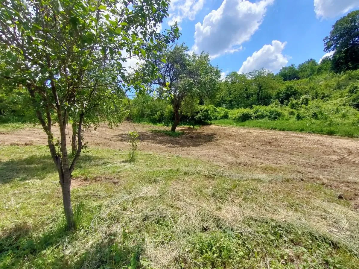 Prodaja, plac, 1500m², Rakovac, Novi Sad Sve Podlokacije