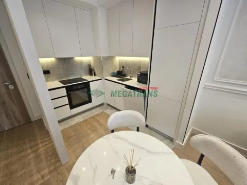 Rent, two bedroom apartment, 50m², Savski Venac, Beograd - image 25