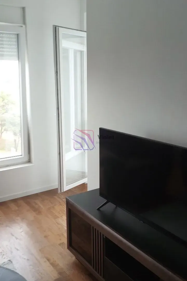 Rent, one bedroom apartment, 43m², Zabjelo, Podgorica