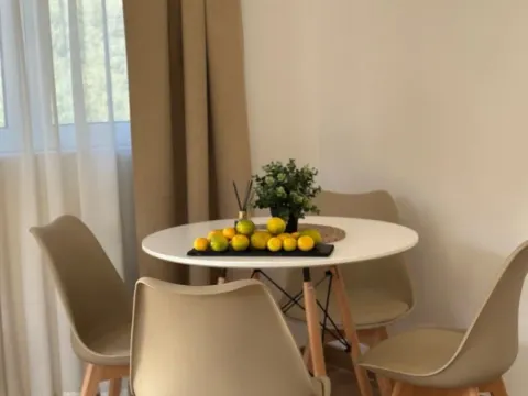 Izdavanje, jednosoban stan, 45m², Zelenika, Herceg Novi - image 9